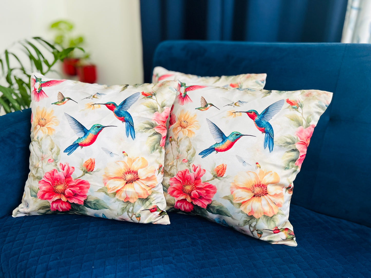 Hummingbird Paradise (Set of 5)